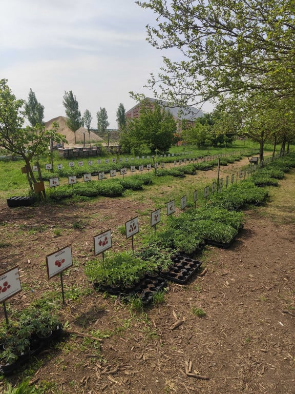Stekovics Gemüsegarten