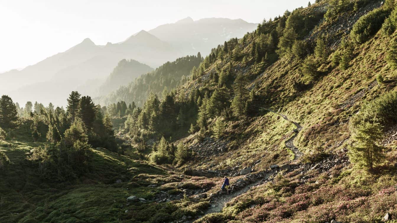 Tulfes, Inntaler Höhenweg, Zirbenweg