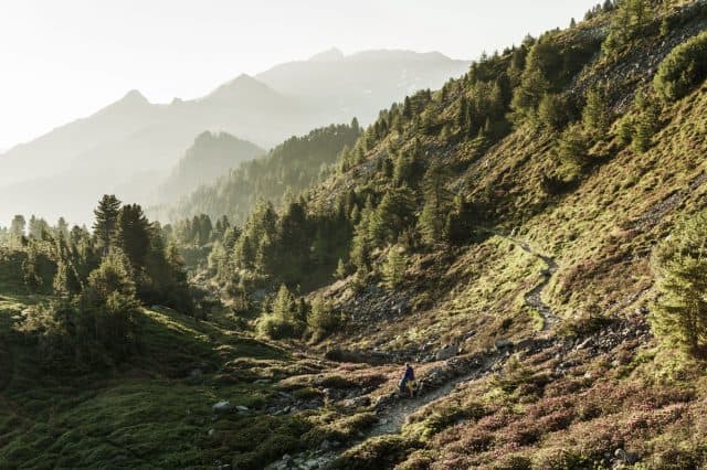 Tulfes, Inntaler Höhenweg, Zirbenweg