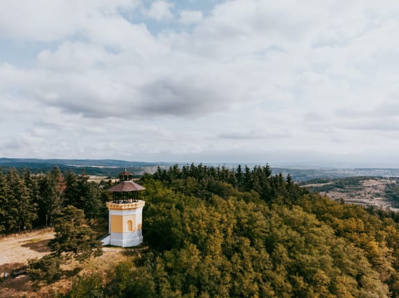 Niederösterreich Wein