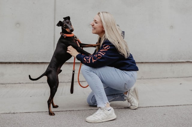 Hunde Shops Österreich