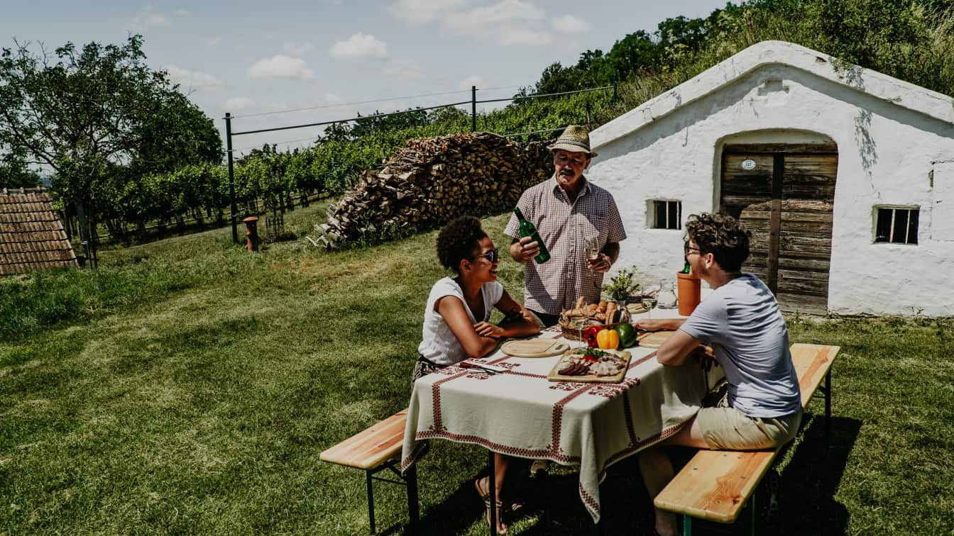 Niederösterreich Wein