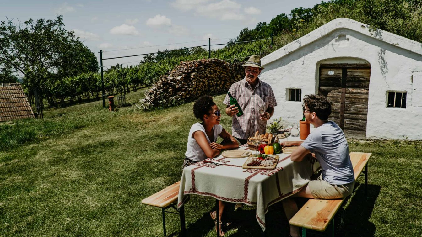 Niederösterreich Wein