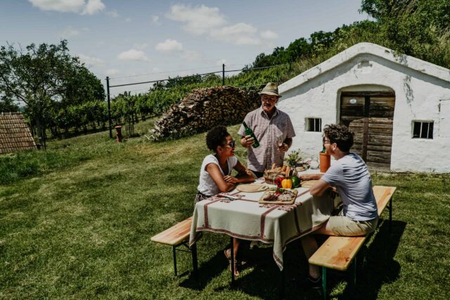 Niederösterreich Wein