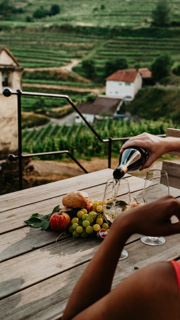 Niederösterreich Wein