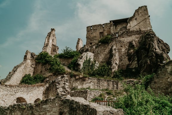 Niederösterreich Wein