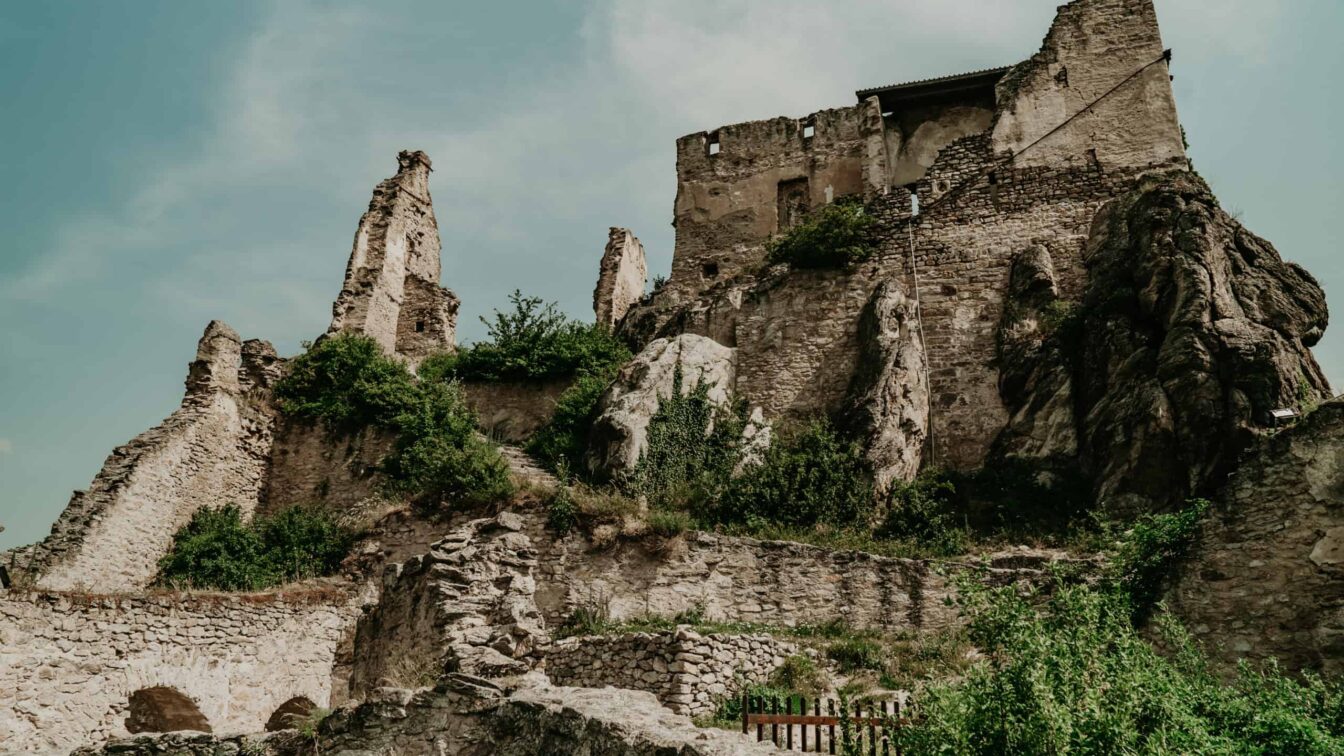 Niederösterreich Wein Wachau