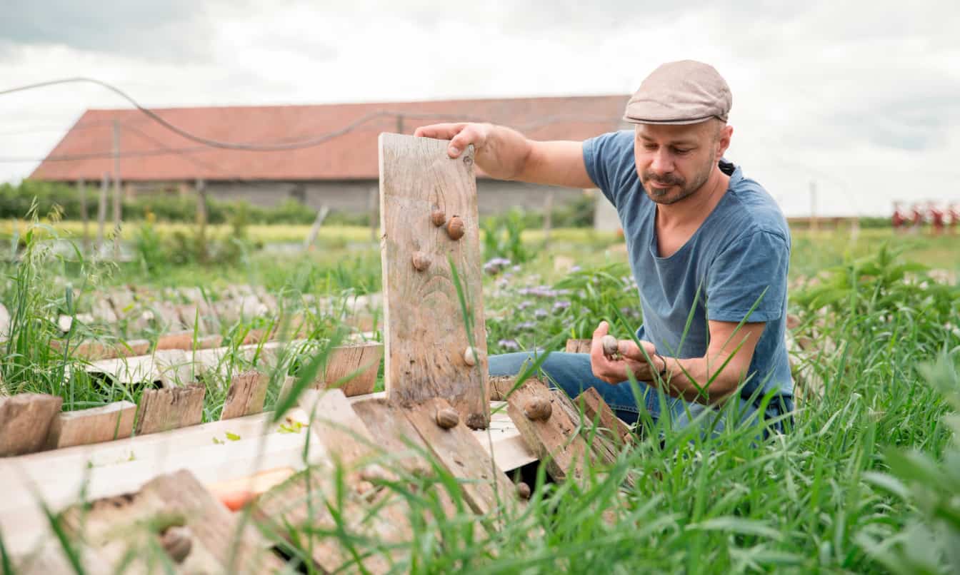 Schneckenmanufaktur Gugumuck