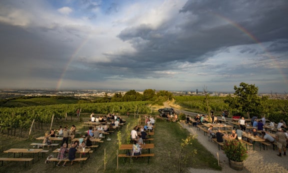 Wieninger am Nussberg