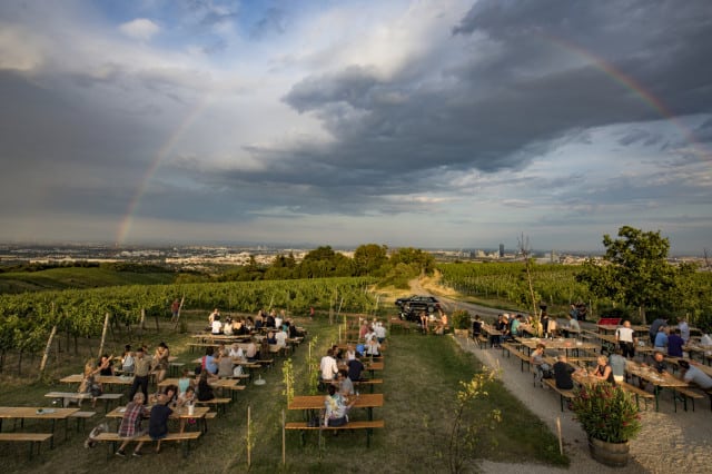 Wieninger am Nussberg