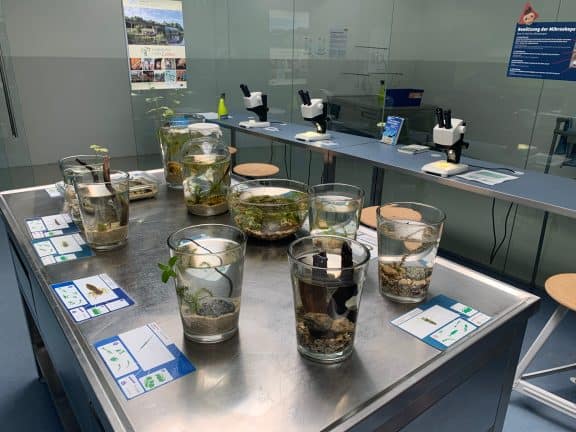 UnterWasserReich Schrems