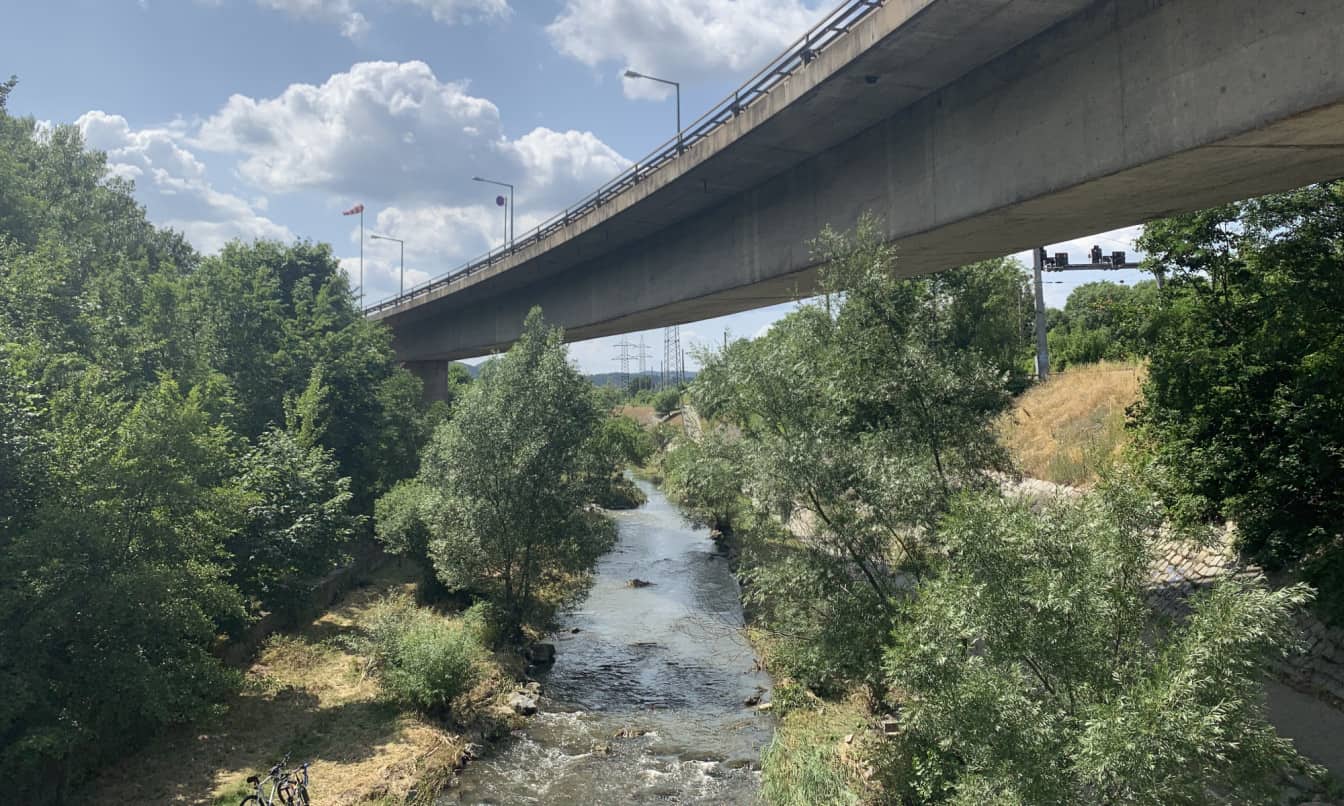 Wienfluss Stadtspaziergang Natur