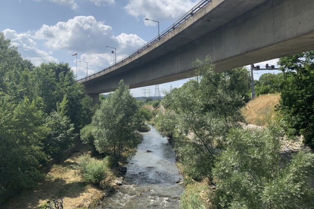 Wienfluss Stadtspaziergang Natur