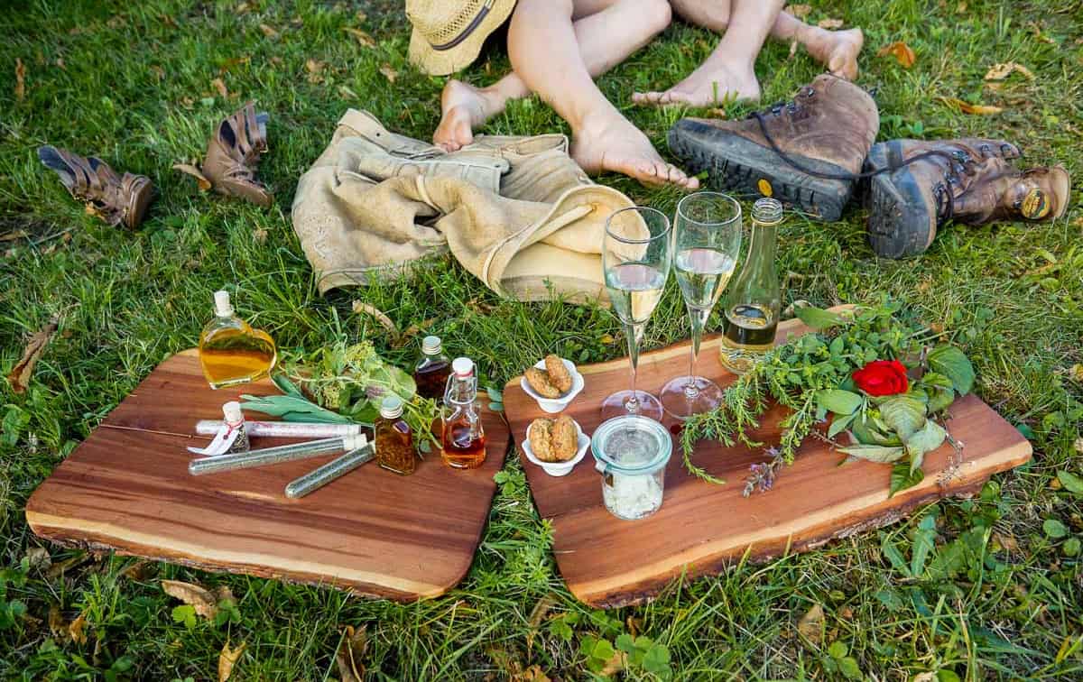 Die Führung "50 Shades of Green" in Obreösterreich (c) Traunsee-Attersee | Daniela Stockinger