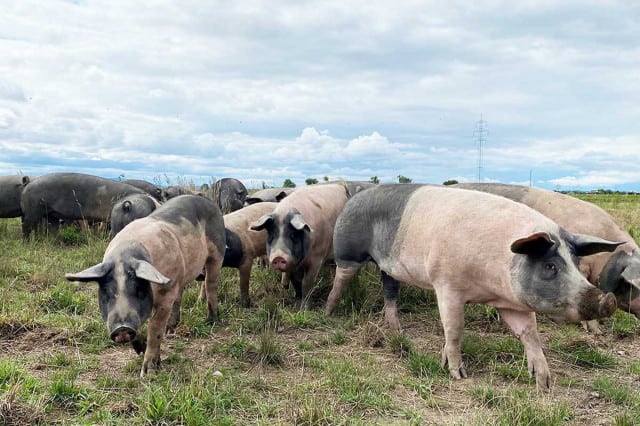 Bio-Aktionstage, Sponsored (c) Alice Bogni | 1000things