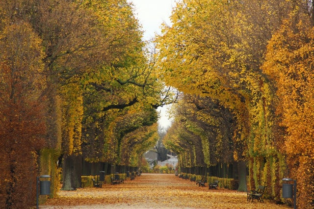 Herbst Wien