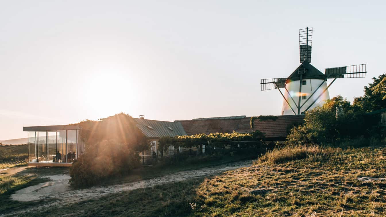 Weinviertel Windmühle Retz