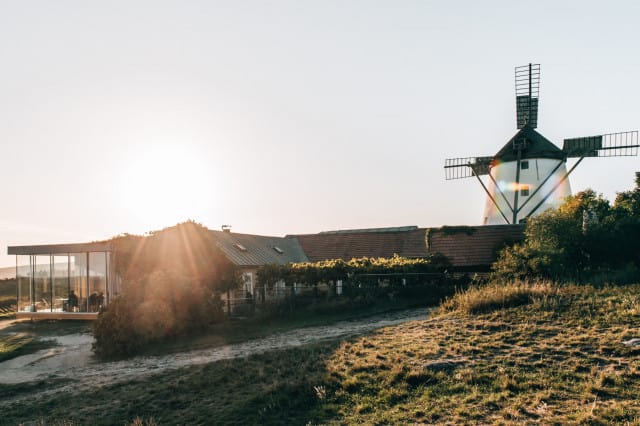 Weinviertel Windmühle Retz