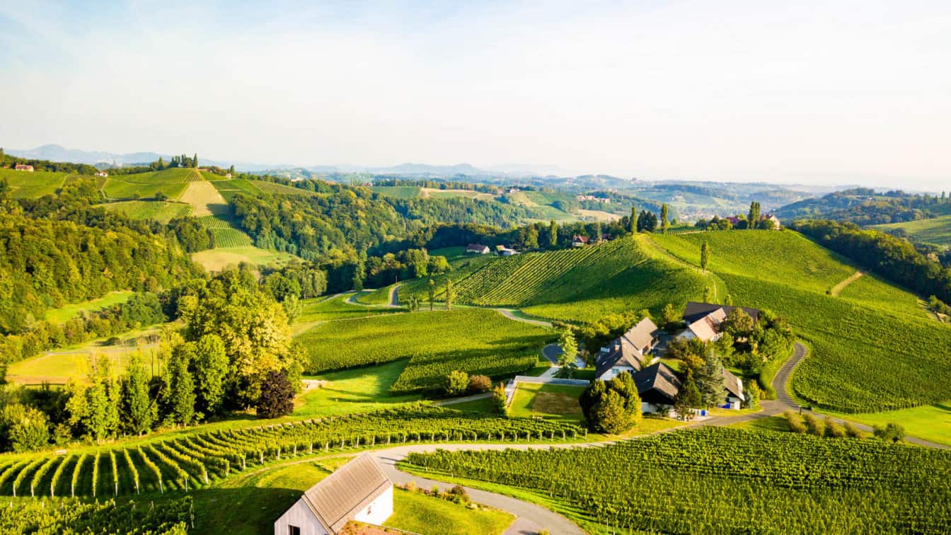 Citroën, Sponsored (c) Manuel Hahn | 1000things