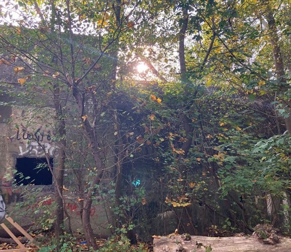 Ein Bunker in Lobau. (c) Alissa Hacker | 1000things