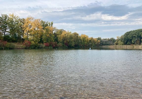 Die Panozzalacke in der Lobau. (c) Alissa Hacker | 1000things