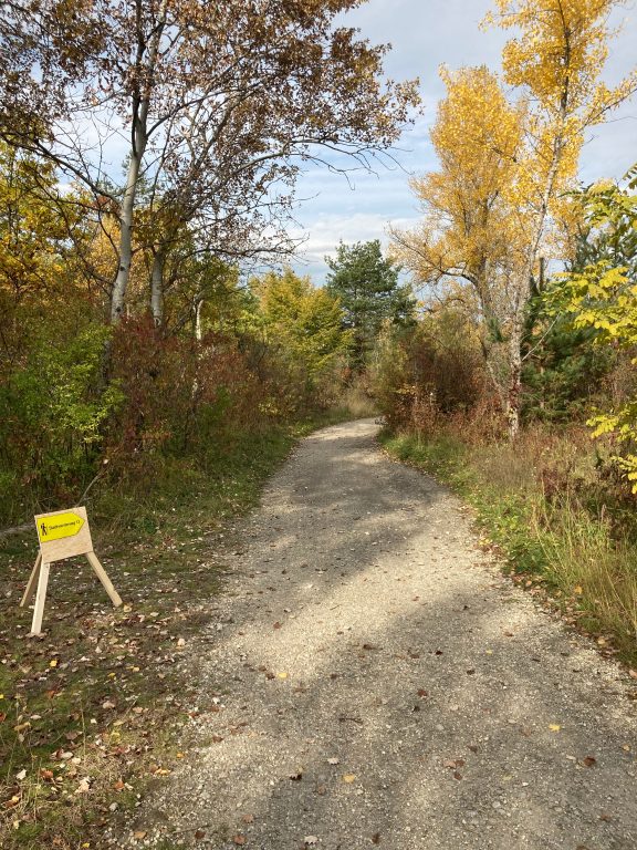 Der Stadtwanderweg 13 von Greenpeace (c) Alissa Hacker | 1000things