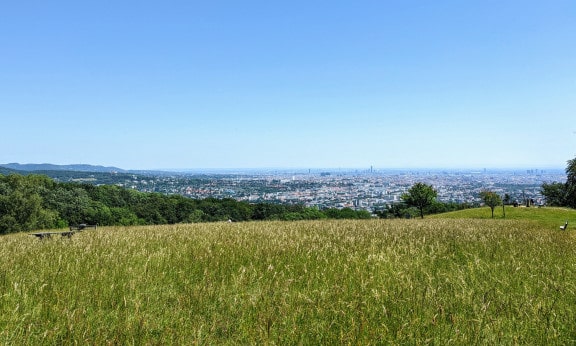 Wiener Bezirke Aussicht Wien Lainzer Tiergarten Wienblick