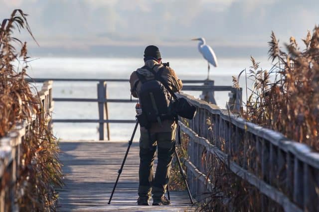 Fotografieren im Moor