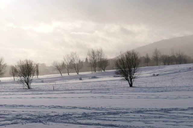 Winter Niederösterreich