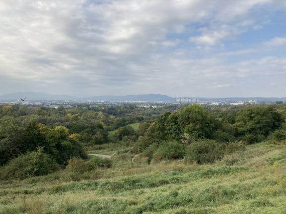 Stadtwanderweg 12: Der Blick vom Wienerberg (c) Christoph Steinhart