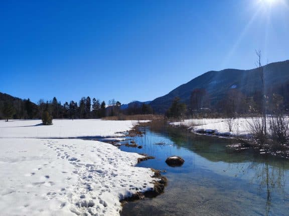 Naturschutzgebiet Fuschlsee