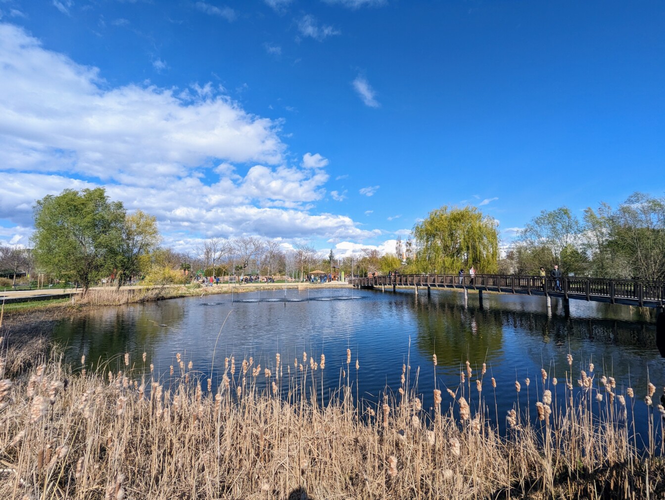 Blumengärten Hirschstetten Frühling