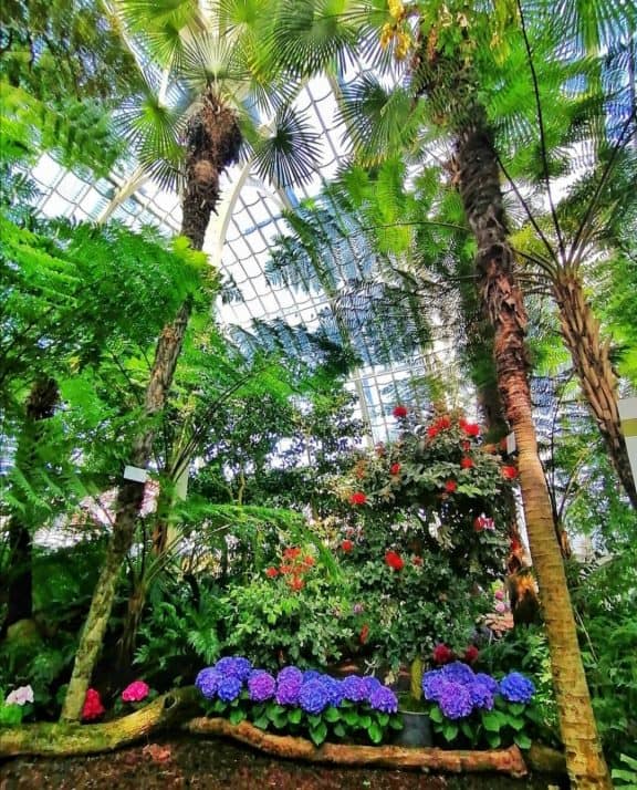 Palmenhaus Schönbrunn