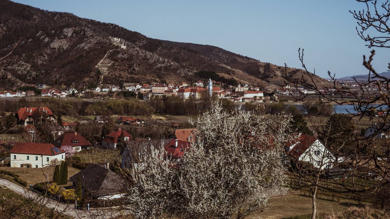 Rossatz in der Wachau (c) Katharina Tesch | 1000things
