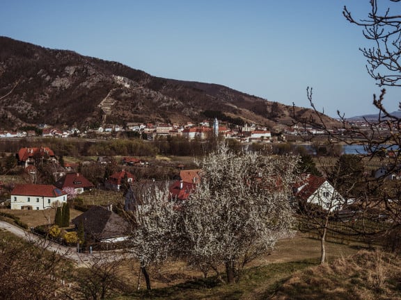 Rossatz in der Wachau (c) Katharina Tesch | 1000things