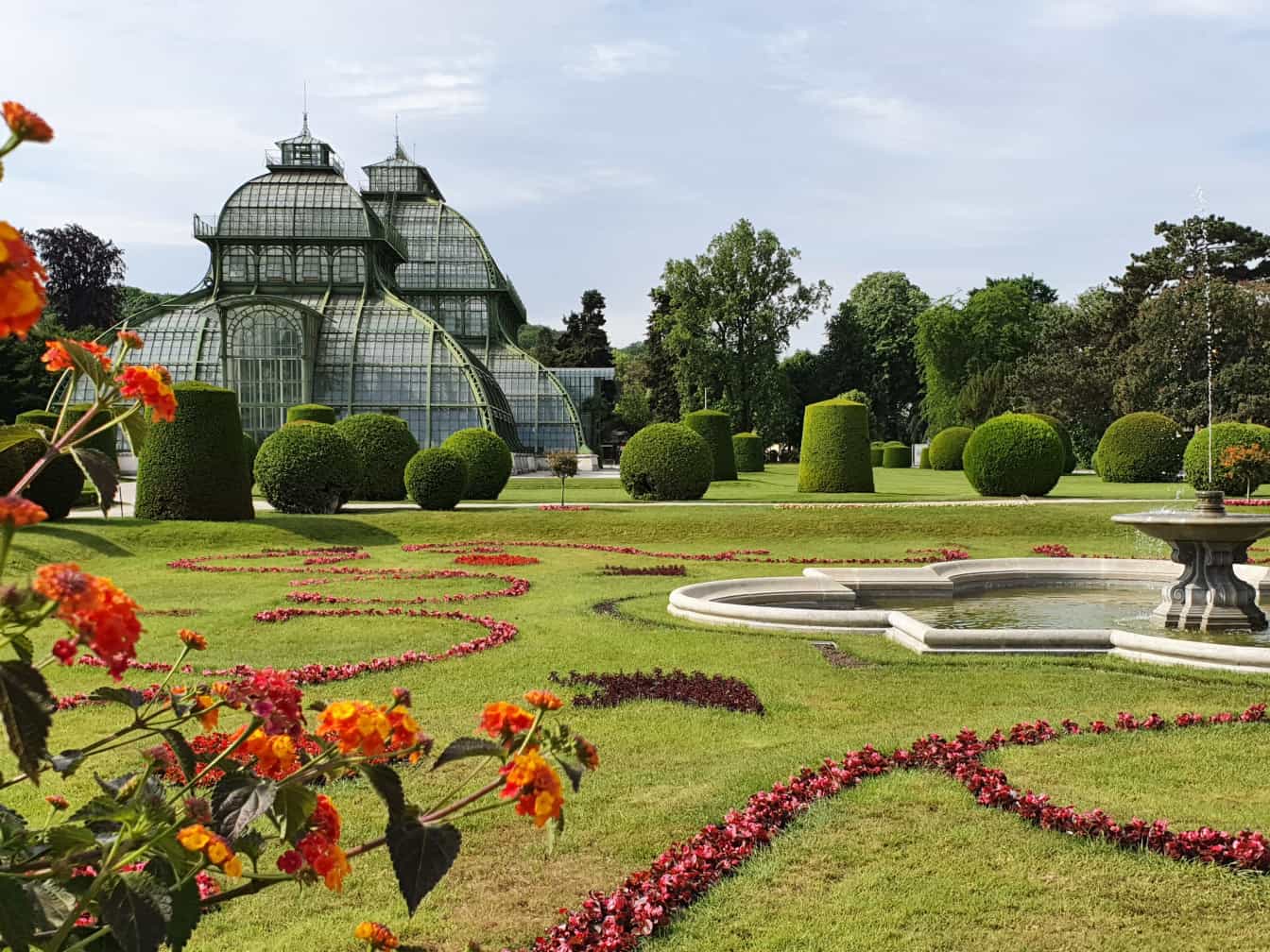 Ein Bild vom Palmenhaus im Tiergarten Schönbrunn, im Vordergrund sieht man Blüten und einen grünen Garten