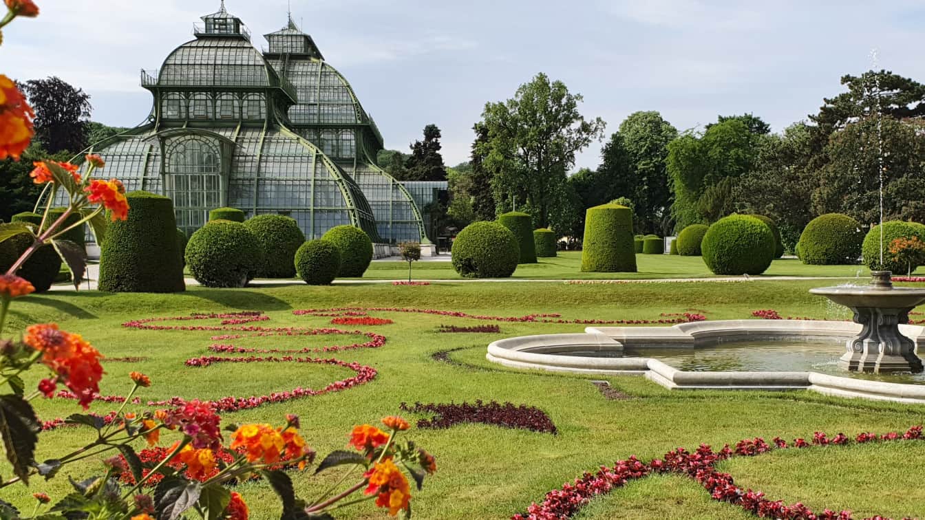 Ein Bild vom Palmenhaus im Tiergarten Schönbrunn, im Vordergrund sieht man Blüten und einen grünen Garten