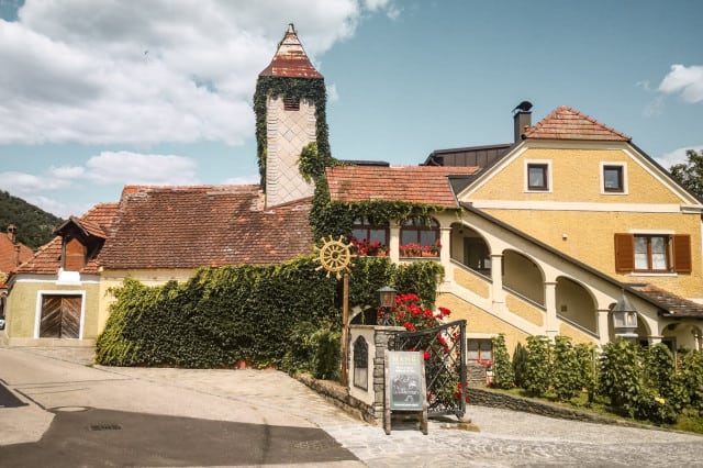 (c) Katharina Tesch | 1000things