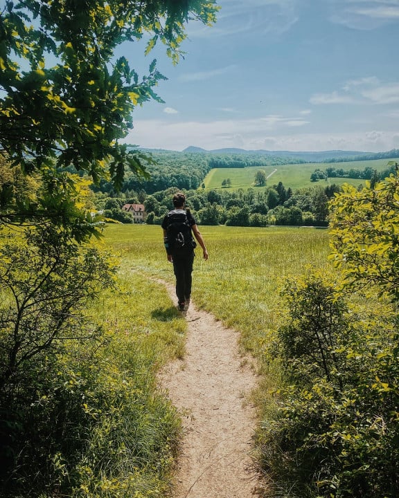 Wanderei Impression Etappe 1 Wienerwald