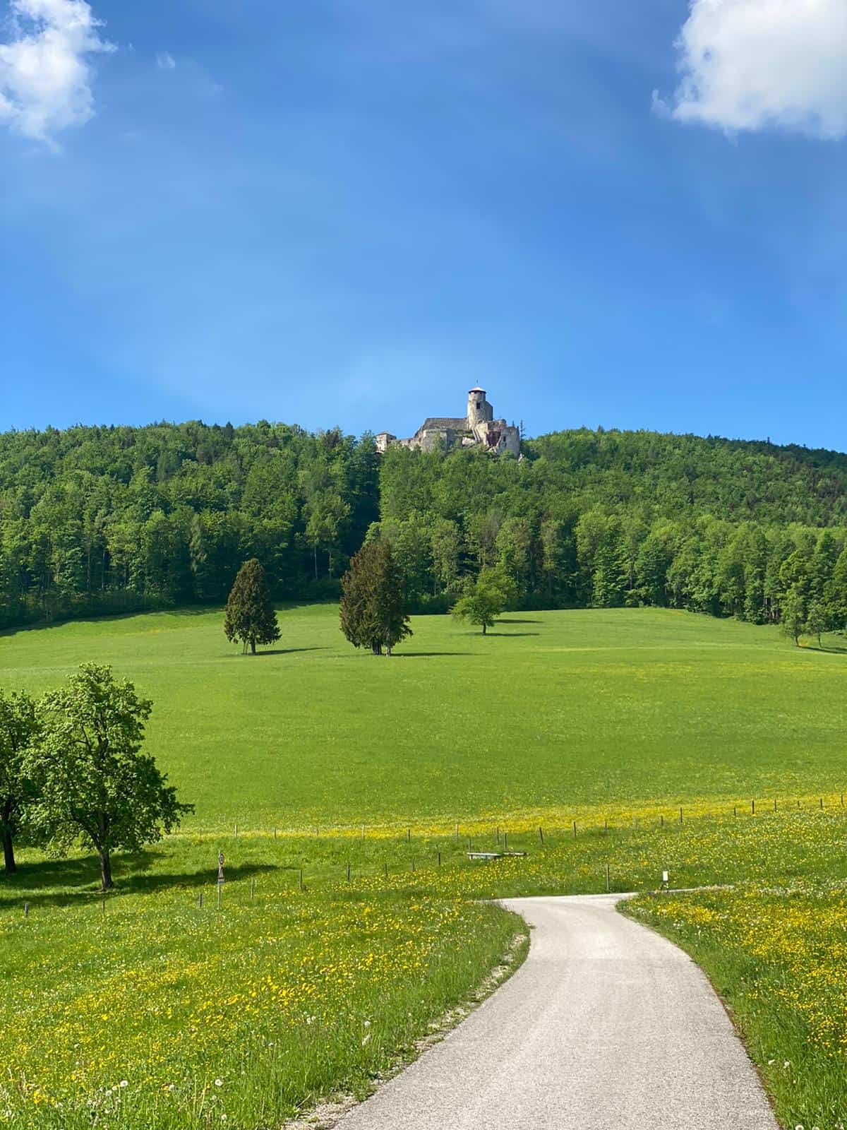 Wanderei Impression Etappe 3 Araburg