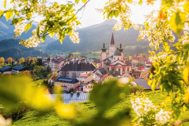 Mariazell Basilika