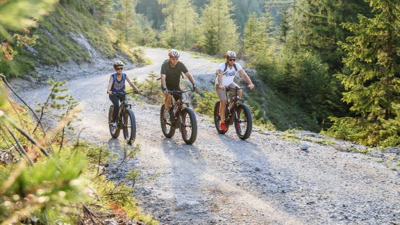 Mountainbike Walstern Radfahren Mariazellerland
