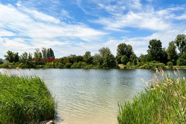 Badeplätze Wien Strombucht