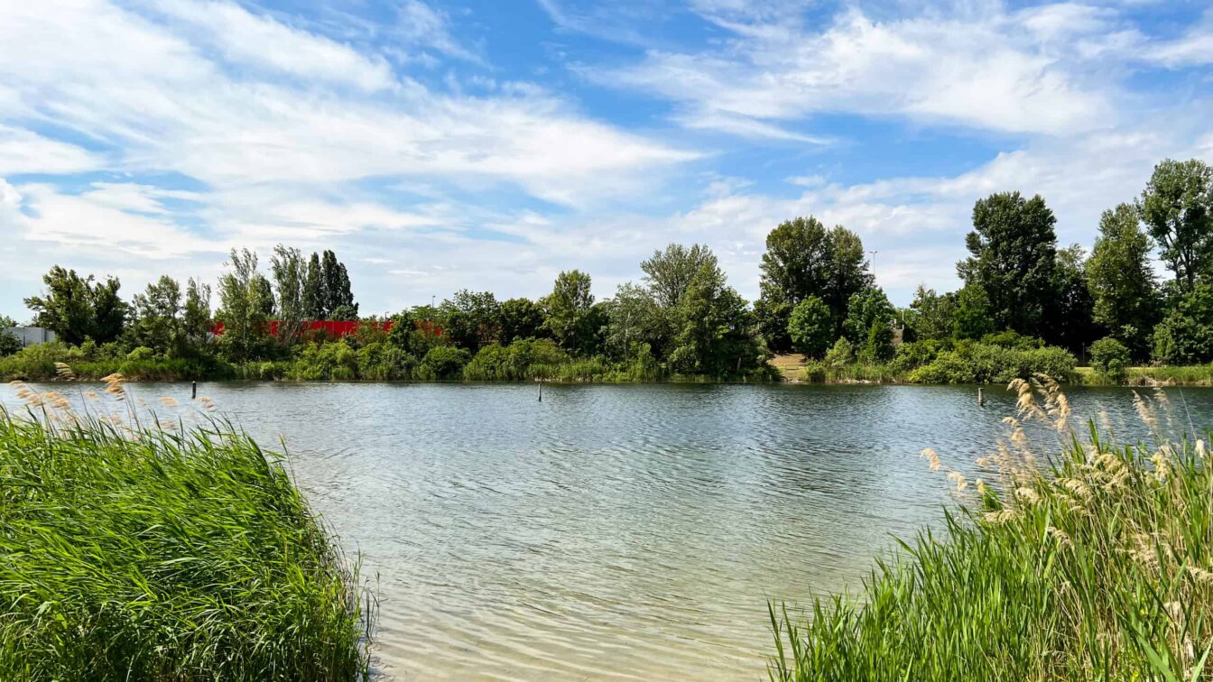 Badeplätze Wien Strombucht