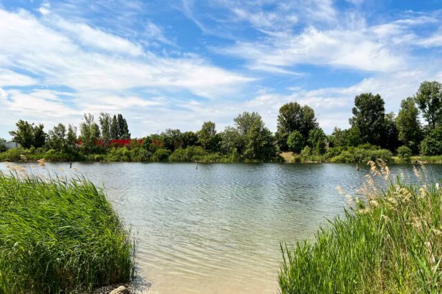 Badeplätze Wien Strombucht