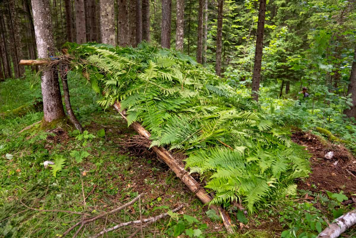 Survival Training Österreich, (c) Jessica Zekar | 1000things