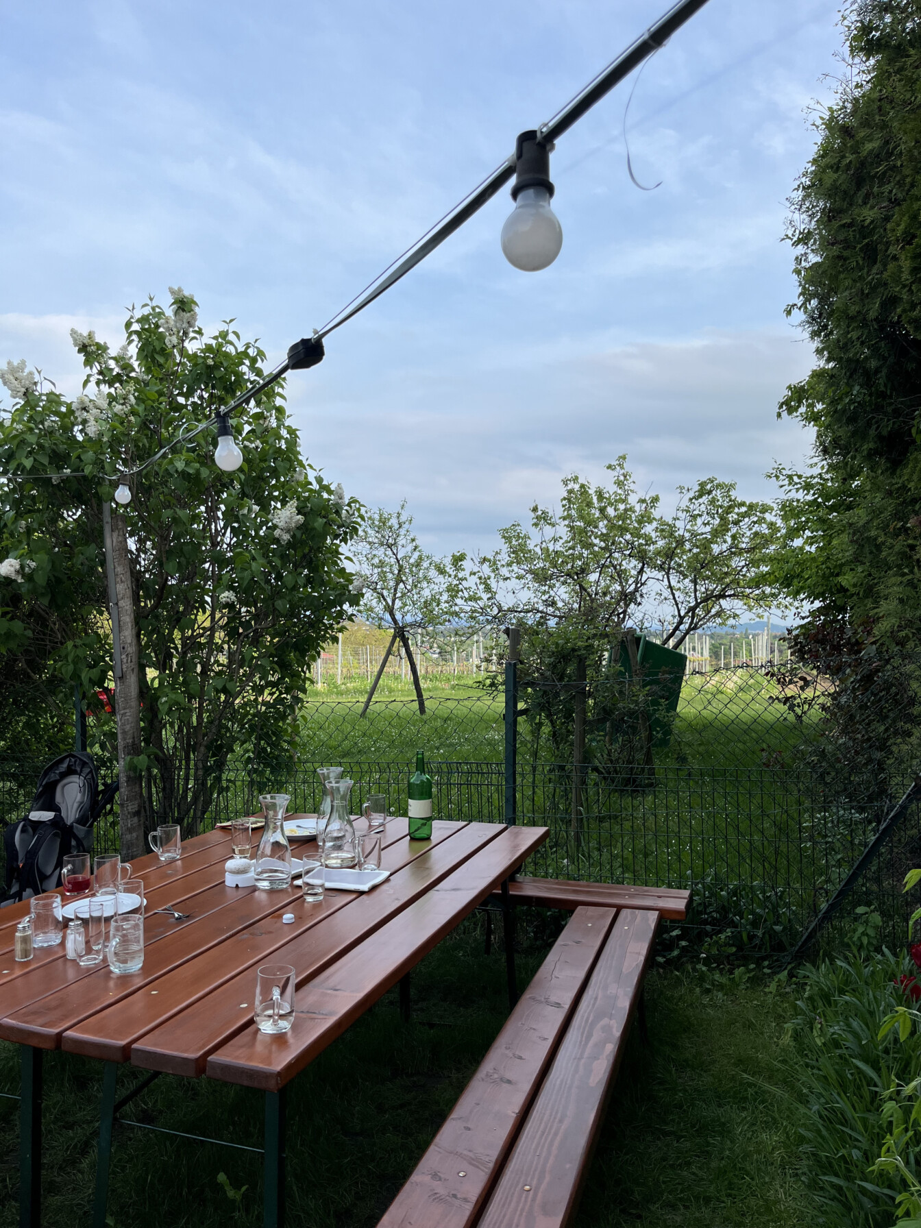 Der Gastgarten vom Heurigen Wiltschko in Mauer