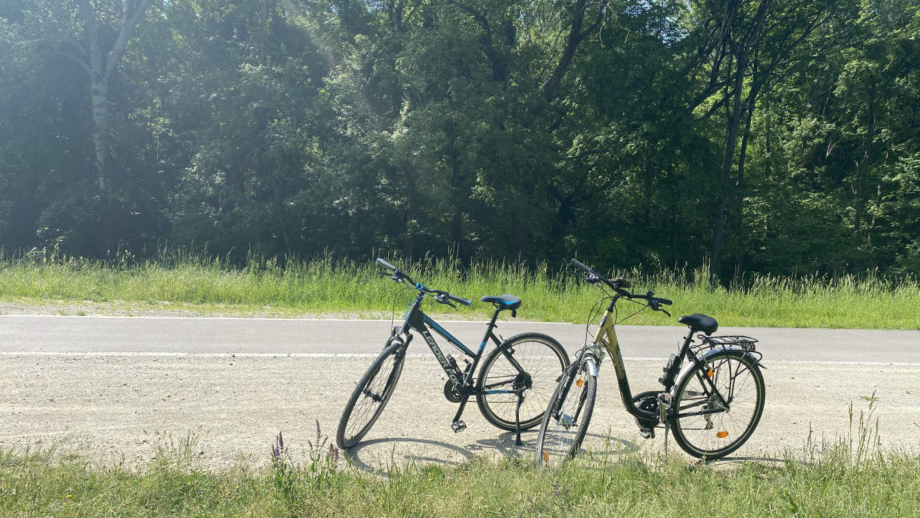 Zwei Räder am Donauradweg, auf einer Fahrradtour durchs Burgenland und Niederösterreich