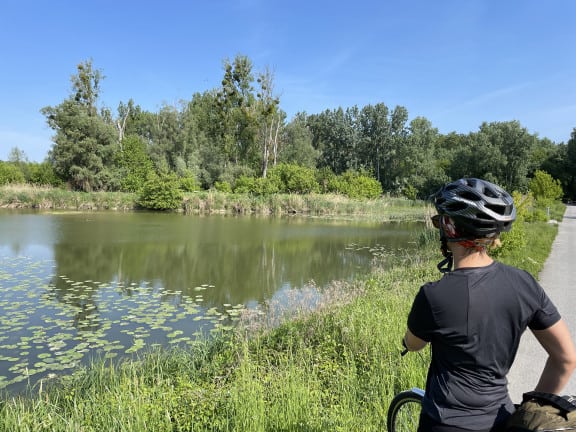 Wien Bratislava Fahrrad