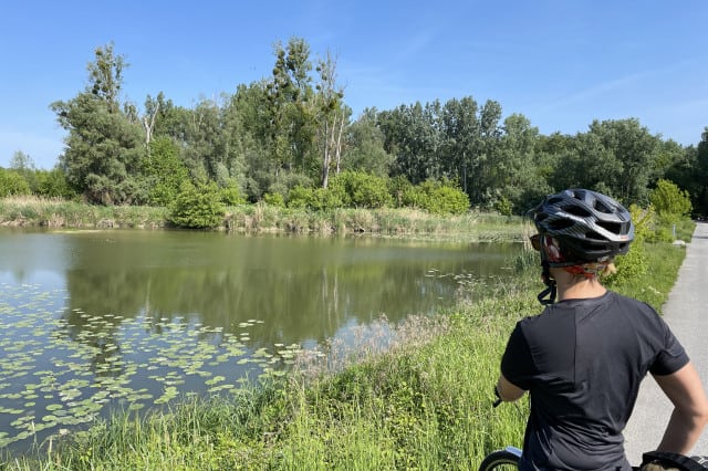 Wien Bratislava Fahrrad